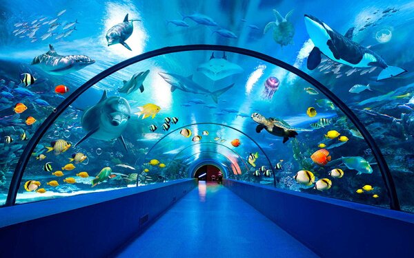 Fototapeta Tunel s rybami a zvířaty, 3D květinové fototapety, Populární fototapety, u34490 - Tapeko.co.cz