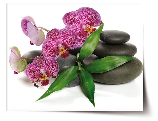 Sablio Plakát Orchideje a kameny - 60x40 cm