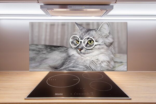 Panel do kuchyně Kočka v brýlích pksh-115959381