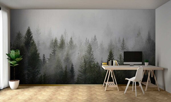 Fototapeta Skupina stromů v mlze, Lesní fototapety, Populární fototapety, u37073 - Tapeko.co.cz