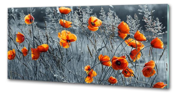 Skleněný panel do kuchynské linky Polní mák pksh-116797987