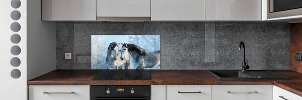 Panel do kuchyně Zima šedý kůň pksh-116887257