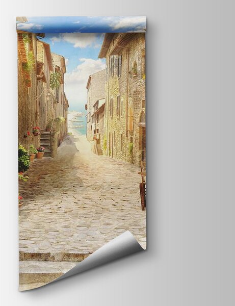 Fototapeta Kamenná ulice s kamennými budovami a rostlinami, Architektonické fototapety, Populární fototapety, u42397 - Tapeko.co.cz