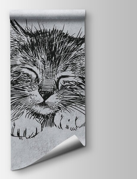 Fototapeta Kresba kočky, Designové fototapety na zeď, Populární fototapety, u43536 - Tapeko.co.cz