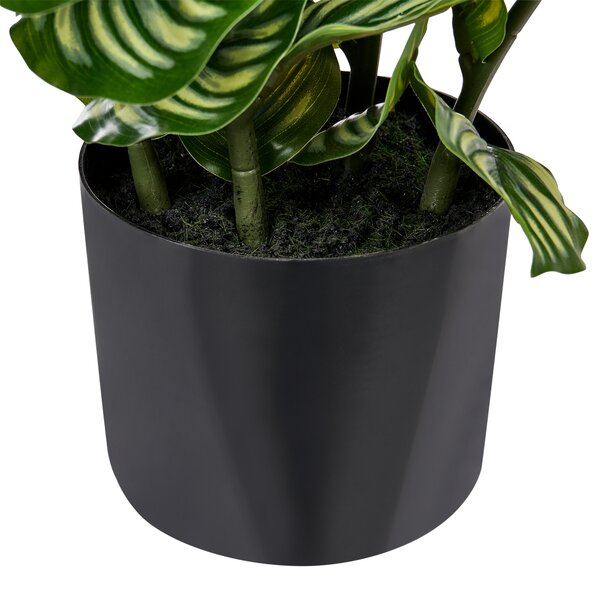 Umělá rostlina ORBIFOLIA 50 cm Zelená