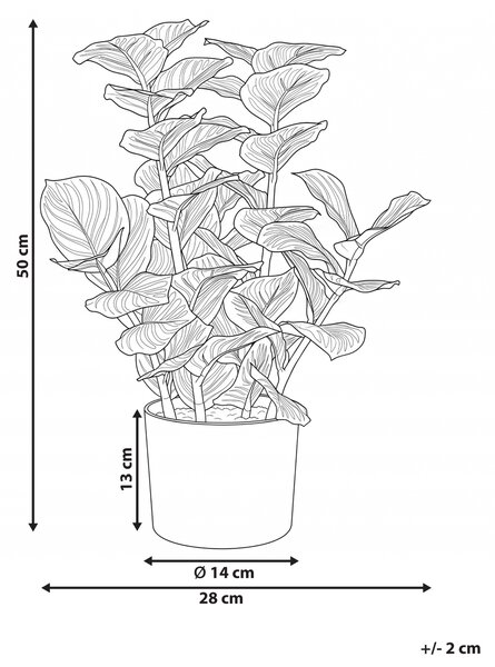 Umělá rostlina ORBIFOLIA 50 cm Zelená