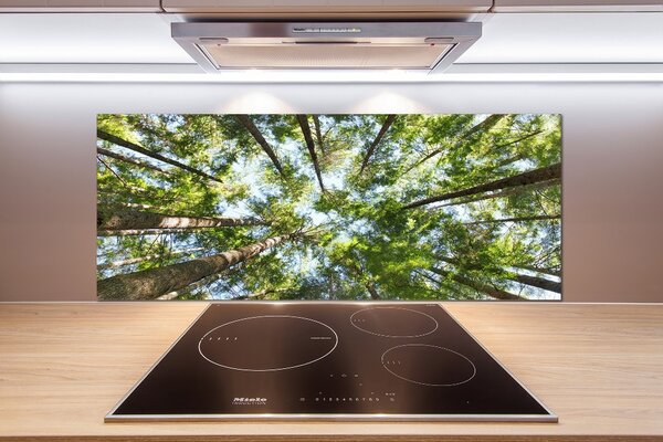 Dekorační panel sklo Koruna stromů pksh-119047799