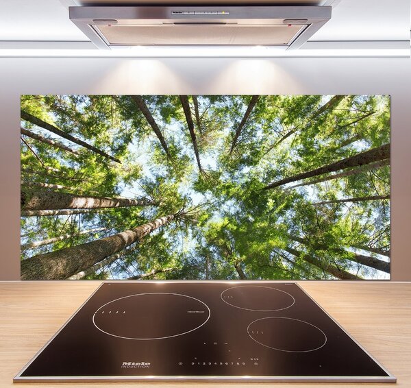Dekorační panel sklo Koruna stromů pksh-119047799