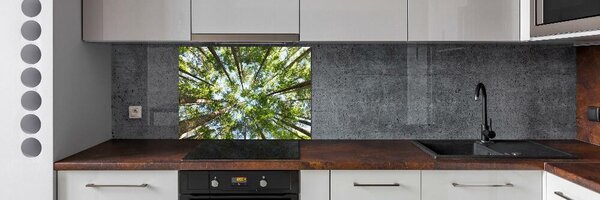 Dekorační panel sklo Koruna stromů pksh-119047799