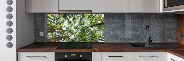 Dekorační panel sklo Koruna stromů pksh-119047799