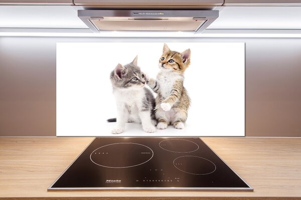 Dekorační sklo do kuchyně Dvě malé kočky pksh-120060855
