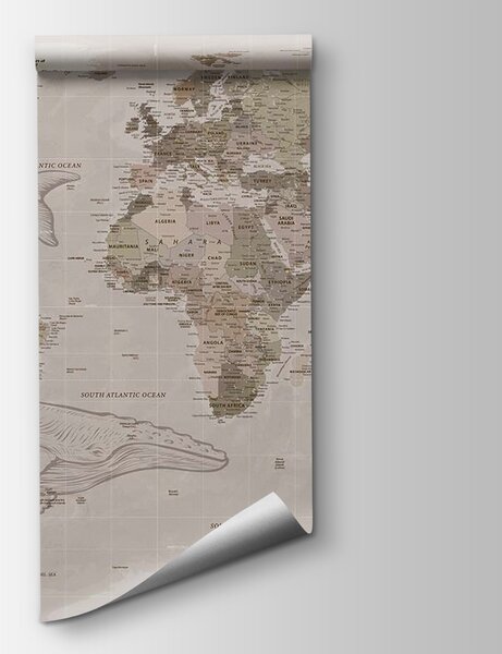 Fototapeta Mapa světa s velrybami, Fototapeta s mapou světa, Populární fototapety, u50449 - Tapeko.co.cz