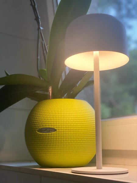 Venkovní solární LED stolní lampička Immax CARO bílá 4W 150lm, teplá bílá 3000K