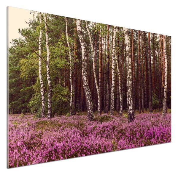 Dekorační panel sklo Vřesoviště pksh-120519318