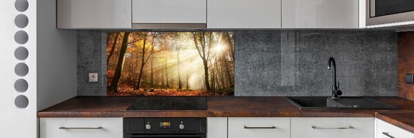 Dekorační panel sklo Mlha v lese pksh-120624836