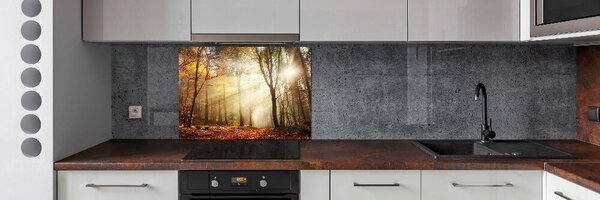 Dekorační panel sklo Mlha v lese pksh-120624836