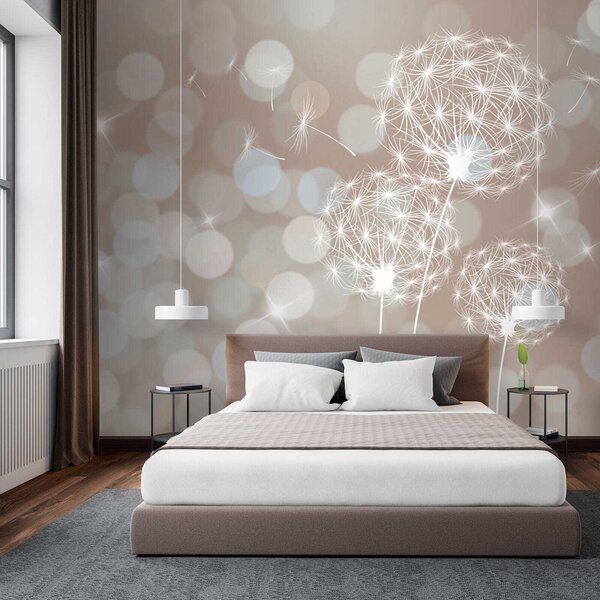 Fototapeta Jemné pampelišky v měkkém pozadí, Přírodní fototapety, Populární fototapety, u52507 - Tapeko.co.cz
