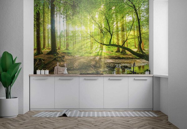 Fototapeta Potok v lese, Přírodní fototapety, Populární fototapety, u52615 - Tapeko.co.cz
