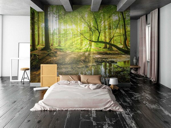 Fototapeta Potok v lese, Přírodní fototapety, Populární fototapety, u52615 - Tapeko.co.cz