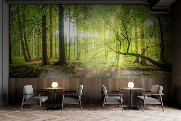 Fototapeta Potok v lese, Přírodní fototapety, Populární fototapety, u52615 - Tapeko.co.cz