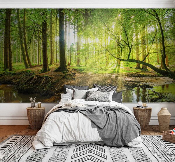 Fototapeta Potok v lese, Přírodní fototapety, Populární fototapety, u52615 - Tapeko.co.cz