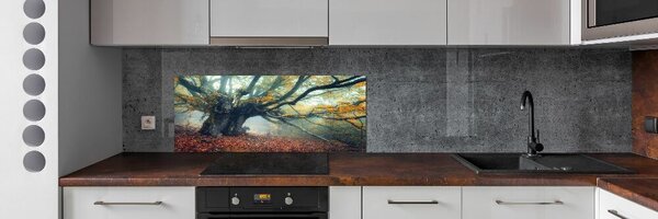 Dekorační panel sklo Starý strom pksh-121105472