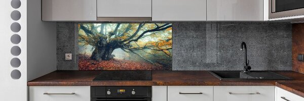Dekorační panel sklo Starý strom pksh-121105472