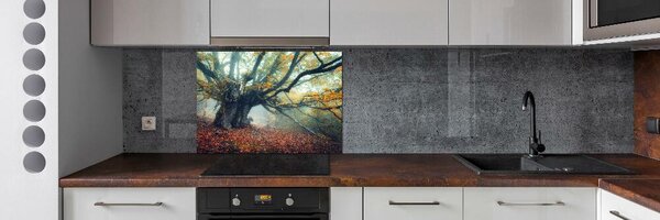 Dekorační panel sklo Starý strom pksh-121105472
