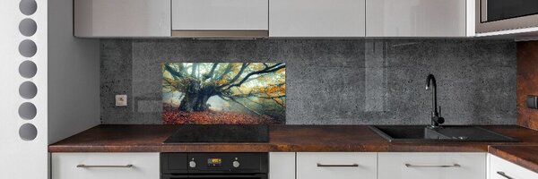 Dekorační panel sklo Starý strom pksh-121105472