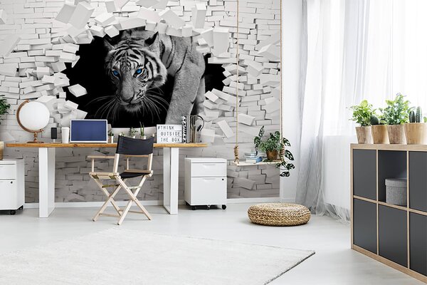 Fototapeta Tygr prochází dírou ve zdi, Designové fototapety na zeď, Populární fototapety, u53013 - Tapeko.co.cz