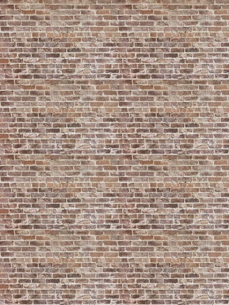Fototapeta Cihlová zeď s mnoha cihlami, Fototapety s texturou, Populární fototapety, u53024 - Tapeko.co.cz