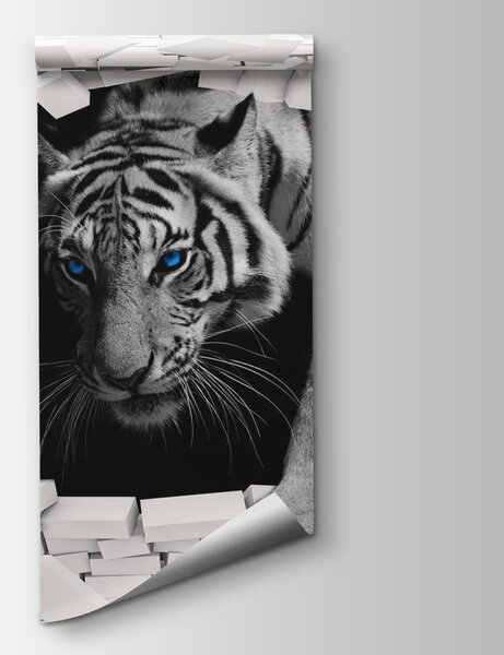 Fototapeta Tygr prochází dírou ve zdi, Designové fototapety na zeď, Populární fototapety, u53013 - Tapeko.co.cz