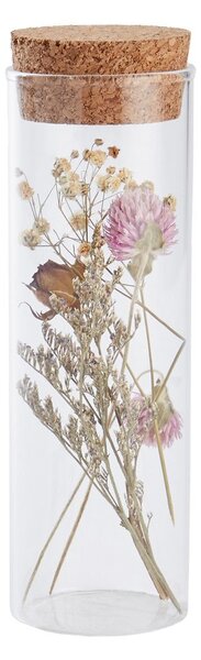 FLOWER MARKET Sušené kytky ve skle různé druhy