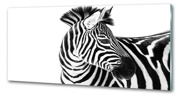 Panel do kuchyně Zebra ve sněhu pksh-121577688