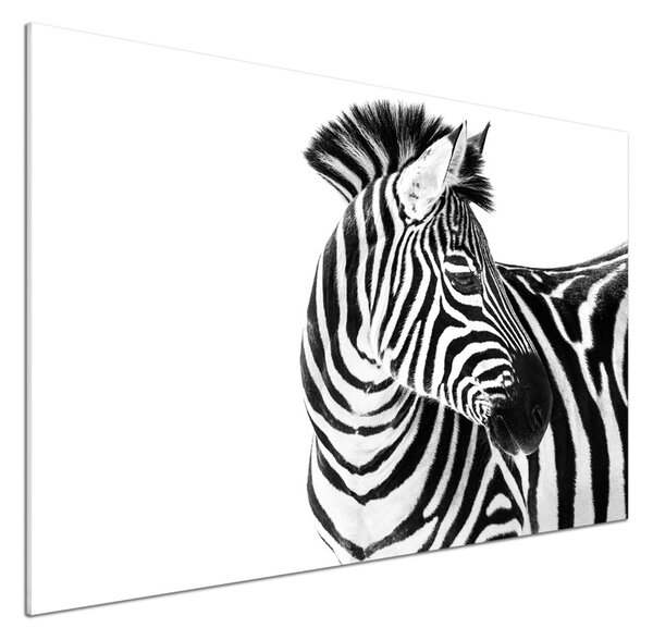 Panel do kuchyně Zebra ve sněhu pksh-121577688