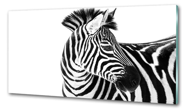 Panel do kuchyně Zebra ve sněhu pksh-121577688