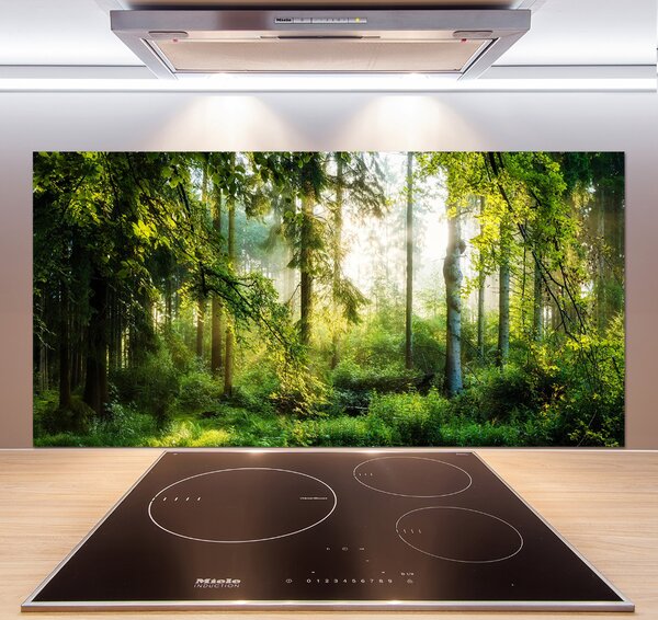 Panel do kuchyně Ranní slunce les pksh-122163677