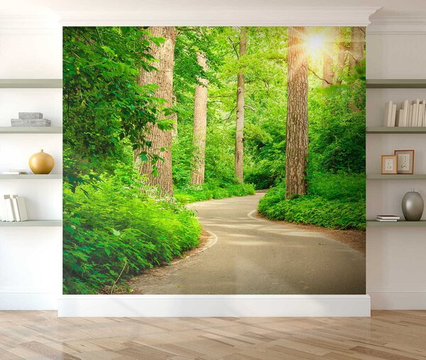 Fototapeta Cesta lesem, Fototapety s expandujícím prostorem, Populární fototapety, u54485 - Tapeko.co.cz