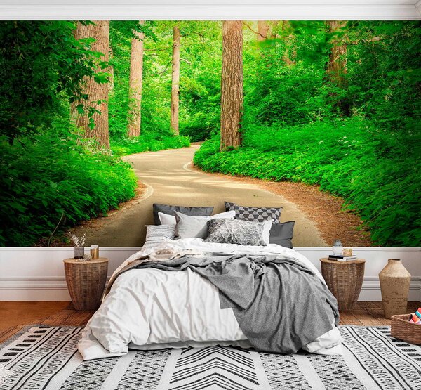 Fototapeta Cesta lesem, Fototapety s expandujícím prostorem, Populární fototapety, u54485 - Tapeko.co.cz