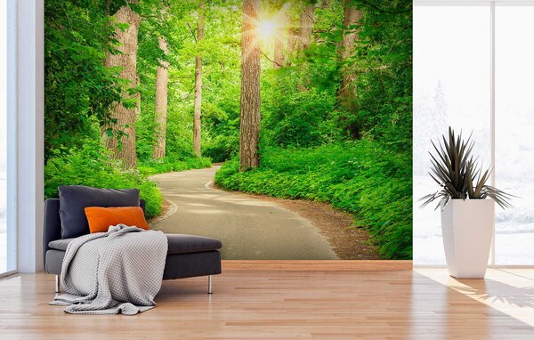 Fototapeta Cesta lesem, Fototapety s expandujícím prostorem, Populární fototapety, u54485 - Tapeko.co.cz