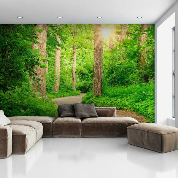 Fototapeta Cesta lesem, Fototapety s expandujícím prostorem, Populární fototapety, u54485 - Tapeko.co.cz
