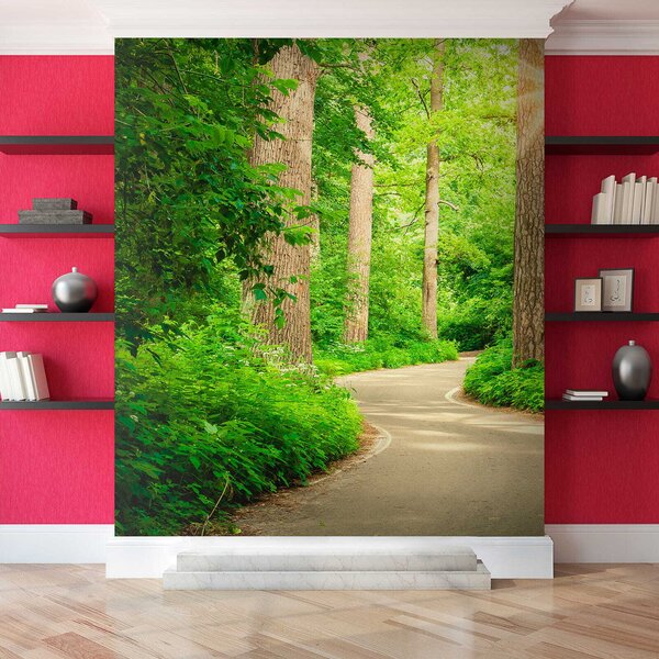 Fototapeta Cesta lesem, Fototapety s expandujícím prostorem, Populární fototapety, u54485 - Tapeko.co.cz