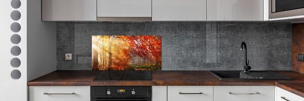 Dekorační panel sklo Podzimní les pksh-122248477