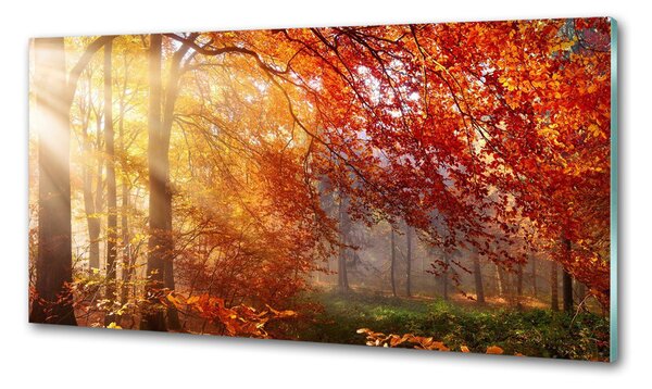 Dekorační panel sklo Podzimní les pksh-122248477