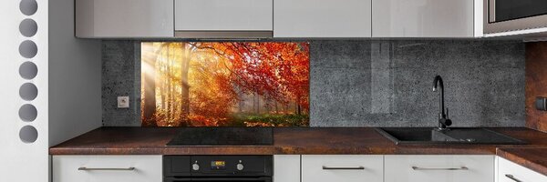 Dekorační panel sklo Podzimní les pksh-122248477