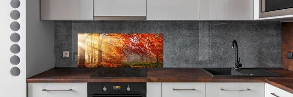 Dekorační panel sklo Podzimní les pksh-122248477