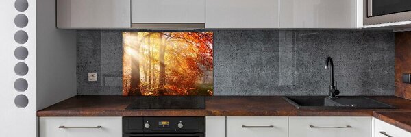 Dekorační panel sklo Podzimní les pksh-122248477
