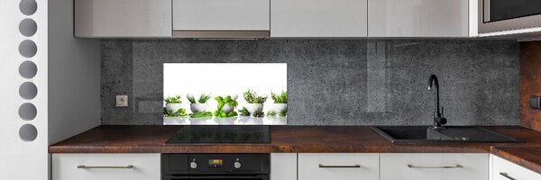 Skleněný panel do kuchyně Byliny pksh-122892380
