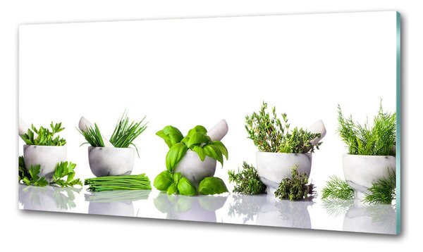 Skleněný panel do kuchyně Byliny pksh-122892380