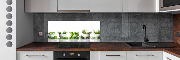 Skleněný panel do kuchyně Byliny pksh-122892380